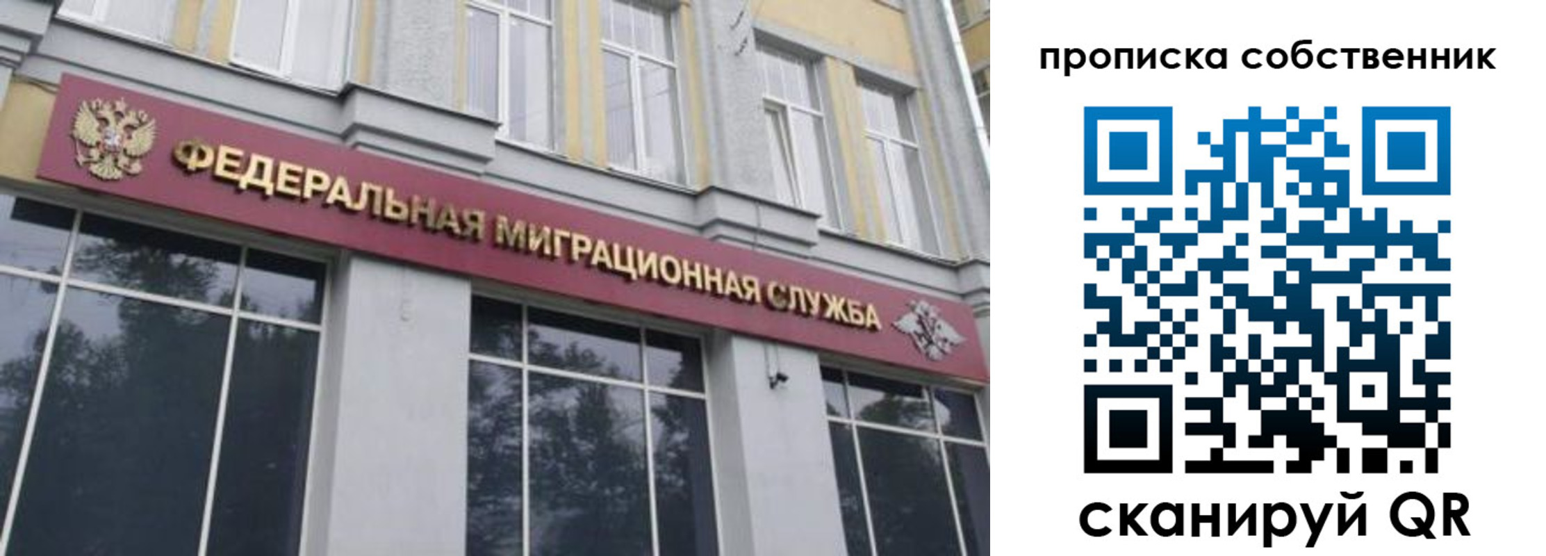 прописка паспорт в Ковылкино